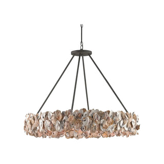 Currey & CompanyOyster Shell Chandelier9672Aloha Habitat
