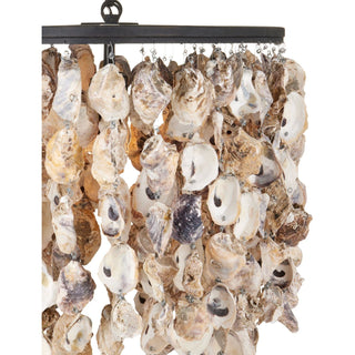 Currey & CompanyStillwater Oyster Shell Oval Chandelier9492Aloha Habitat