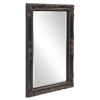 Howard ElliotQueen Ann Mirror53079Origins of Home