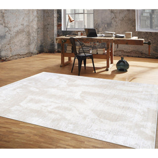 PasargadPasargad Home Amari Collection Hand - Loomed Bsilk & Wool Ivory Area Rug - 5' 4" X 7' 8"PDC - 133 5X8Aloha Habitat