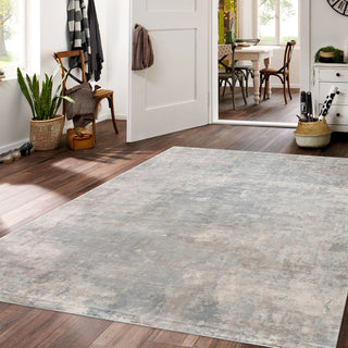 PasargadPasargad Home Beverly Collection Hand - Loomed Bamboo Silk Area Rug - 8' 0" X 10' 0" , Silver/BluePOP - 8010 8X10Aloha Habitat