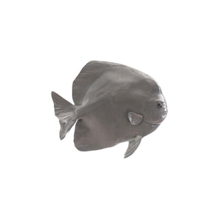 Phillips CollectionAustralian Bat Fish Wall Sculpture, Resin, Polished Aluminum FinishPH64558Aloha Habitat