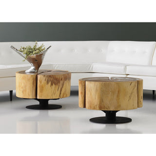 Phillips CollectionClover Coffee Table, Chamcha Wood, Natural Finish, Metal BaseTH74070Aloha Habitat