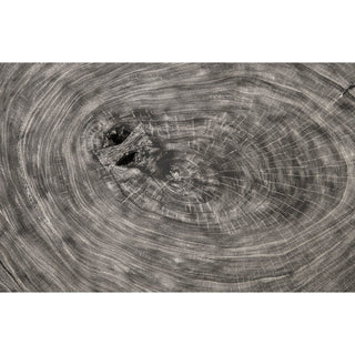 Phillips CollectionFloating Coffee Table on Acrylic Legs, Gray Stone, Size VariesTH97528Aloha Habitat