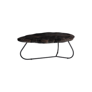 Phillips CollectionMosaic Leaf Petrified Wood Coffee Table, LargeID116041Aloha Habitat