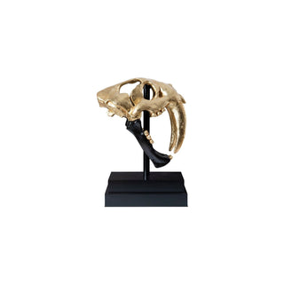 Phillips CollectionSaber Tooth Tiger Skull, Black, Gold LeafPH67580Aloha Habitat