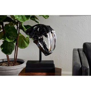 Phillips CollectionSaber Tooth Tiger Skull, BlackPH56705Aloha Habitat