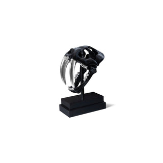 Phillips CollectionSaber Tooth Tiger Skull, BlackPH56705Aloha Habitat