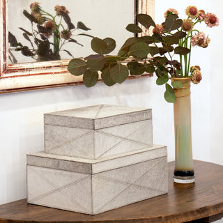 Regina AndrewAndres Hair on Hide Box Set (Grey)20 - 1460GRYOrigins of Home