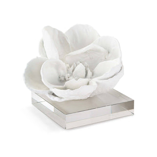 Regina AndrewMagnolia Objet (White)20 - 1286WTOrigins of Home