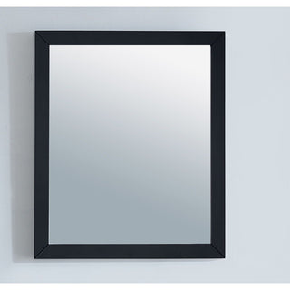 LavivaSterling 24" Framed Rectangular Espresso Mirror 313 Ff 2430 E313FF-2430EAloha Habitat